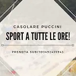 Casolare Puccini Appartement