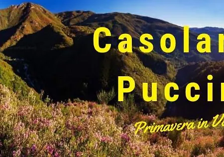 Апартаменты Casolare Puccini