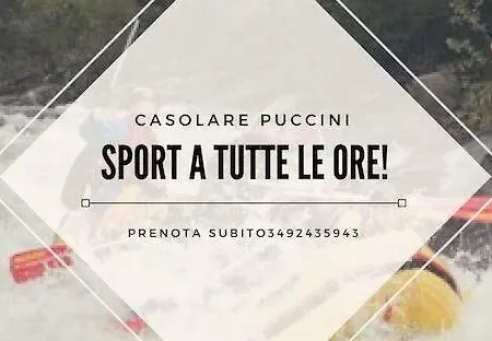 Casolare Puccini Apartment