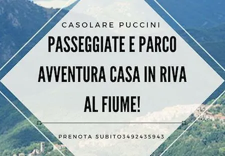 Casolare Puccini Apartment