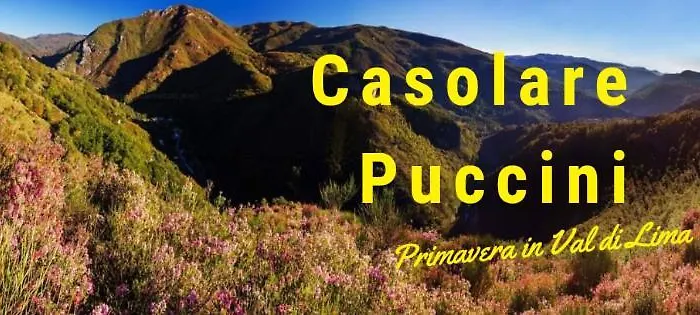 아파트 Casolare Puccini