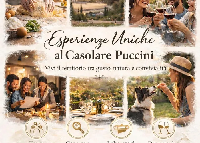 Casolare Puccini 반니 디루카