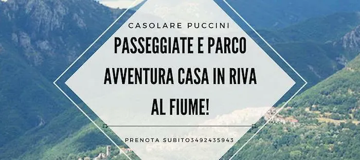 Casolare Puccini 아파트